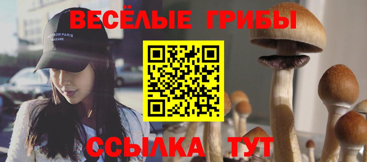 Alpha PVP Менделеевск