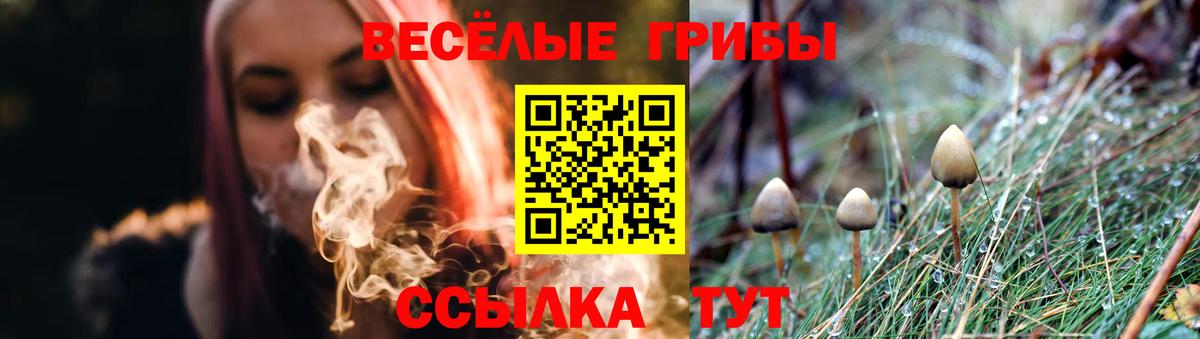 Менделеевск  Галлюциногенные грибы мухоморы  Вход с VPN 